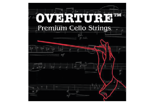 Descripción del Producto