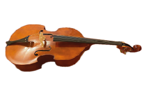 Descripción del Producto