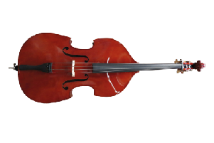 Descripción del Producto